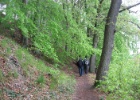 Duitsland Elly (1)